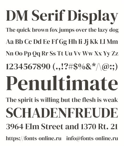 The Sans family is derived. . Dm serif font
